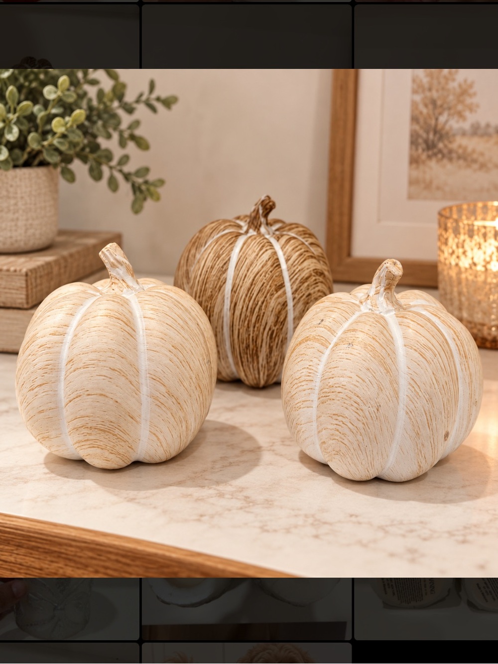 NWT Neutral Rustic Decorative Pumpkins - Set of 3